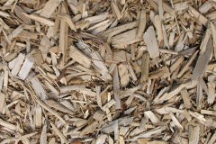 biomass boilers Pen Y Foel